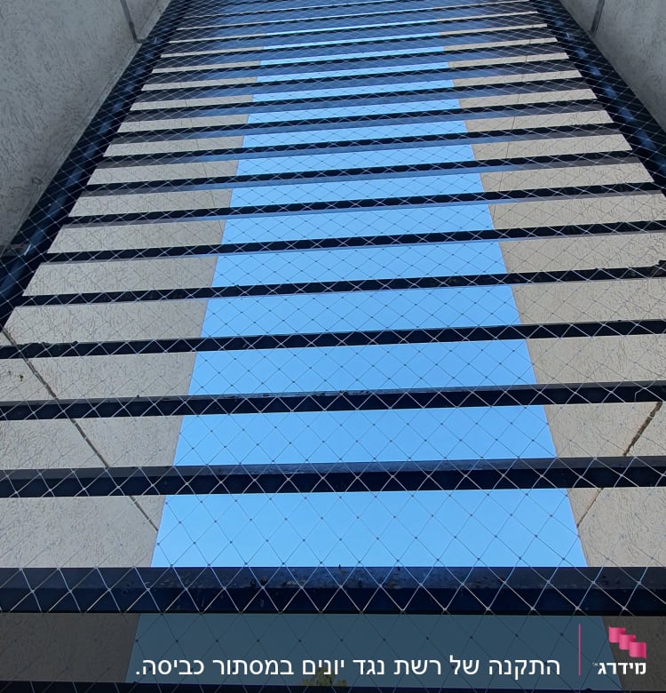 רשת הגנה נגד יונים מותקנת על חלון בניין